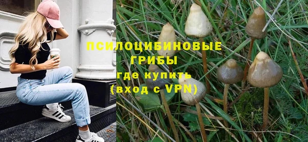 ALPHA-PVP Ельня