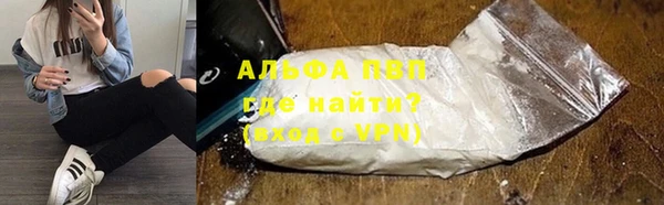 сатива Елабуга