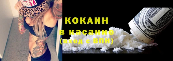 сатива Елабуга