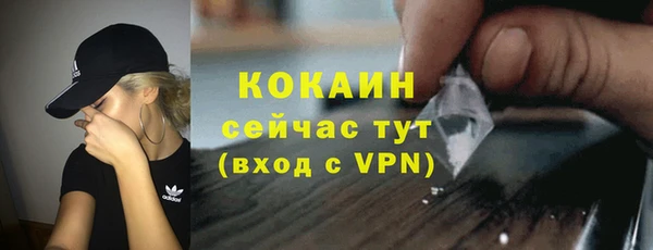 сатива Елабуга