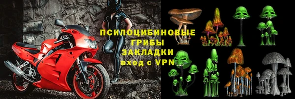 сатива Елабуга
