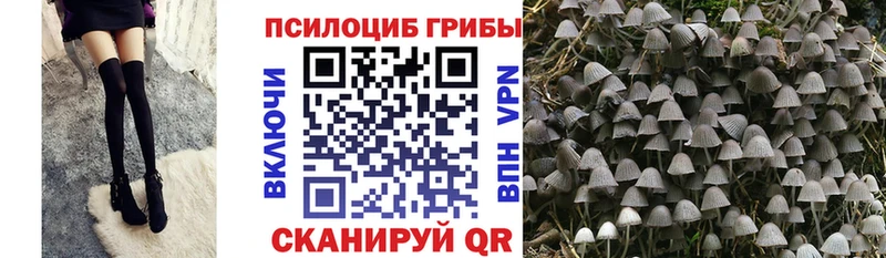 Галлюциногенные грибы прущие грибы  Заозёрск 